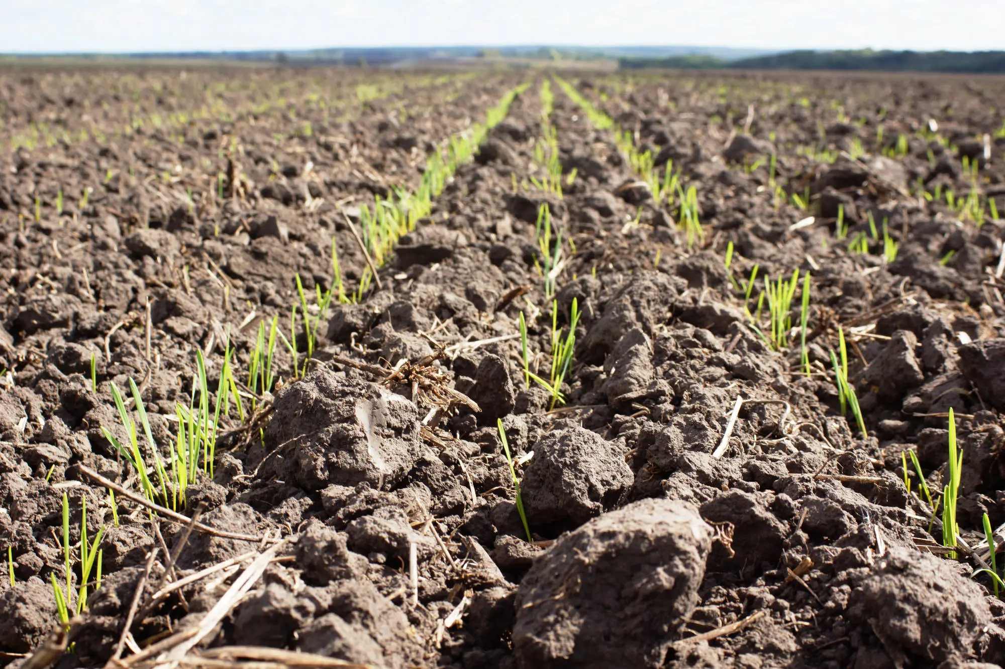 survey services and agronomy consulting