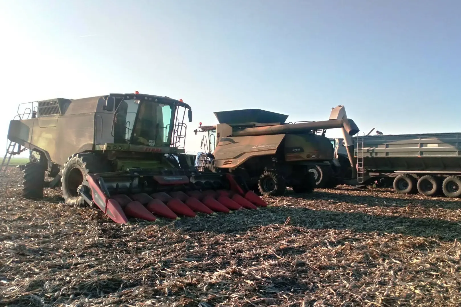 Audit Agriculture