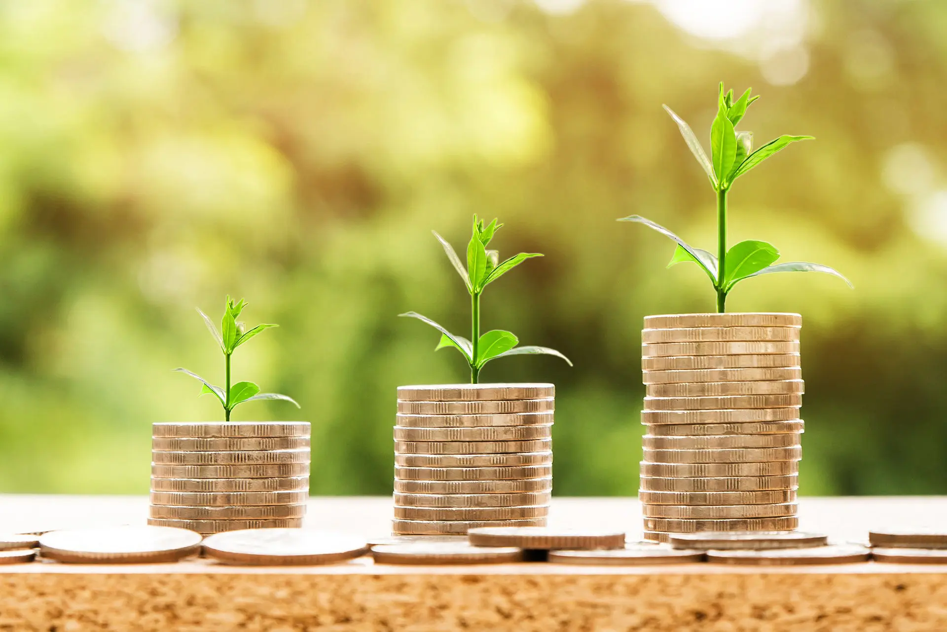 Marketing and strategically research. Analytics. Strategies